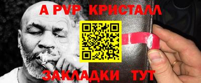 дурь Кингисепп