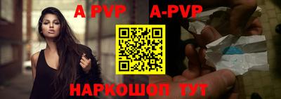 дурь Кингисепп