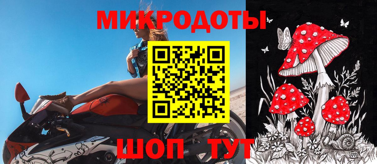 купить  сайты  Псилоцибиновые грибы Psilocybe  Псилоцибиновые грибы GOLDEN TEACHER  Вход с VPN  Чита 